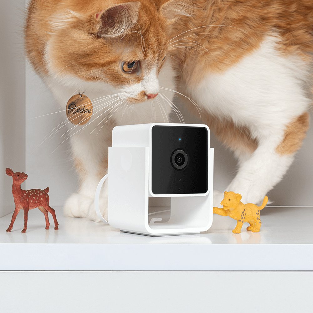 Pet Monitoring Camera: image 2