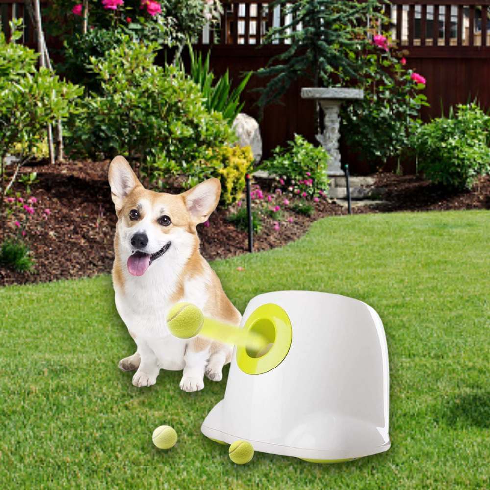 Automatic Dog Ball Launcher: image 2