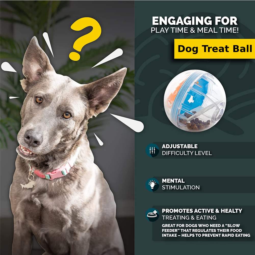 Dog Treat Ball - 4 Inches: image 5