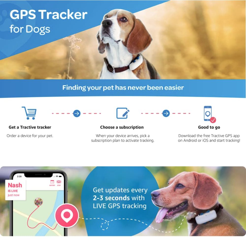 GPS Dog Tracker: image 3