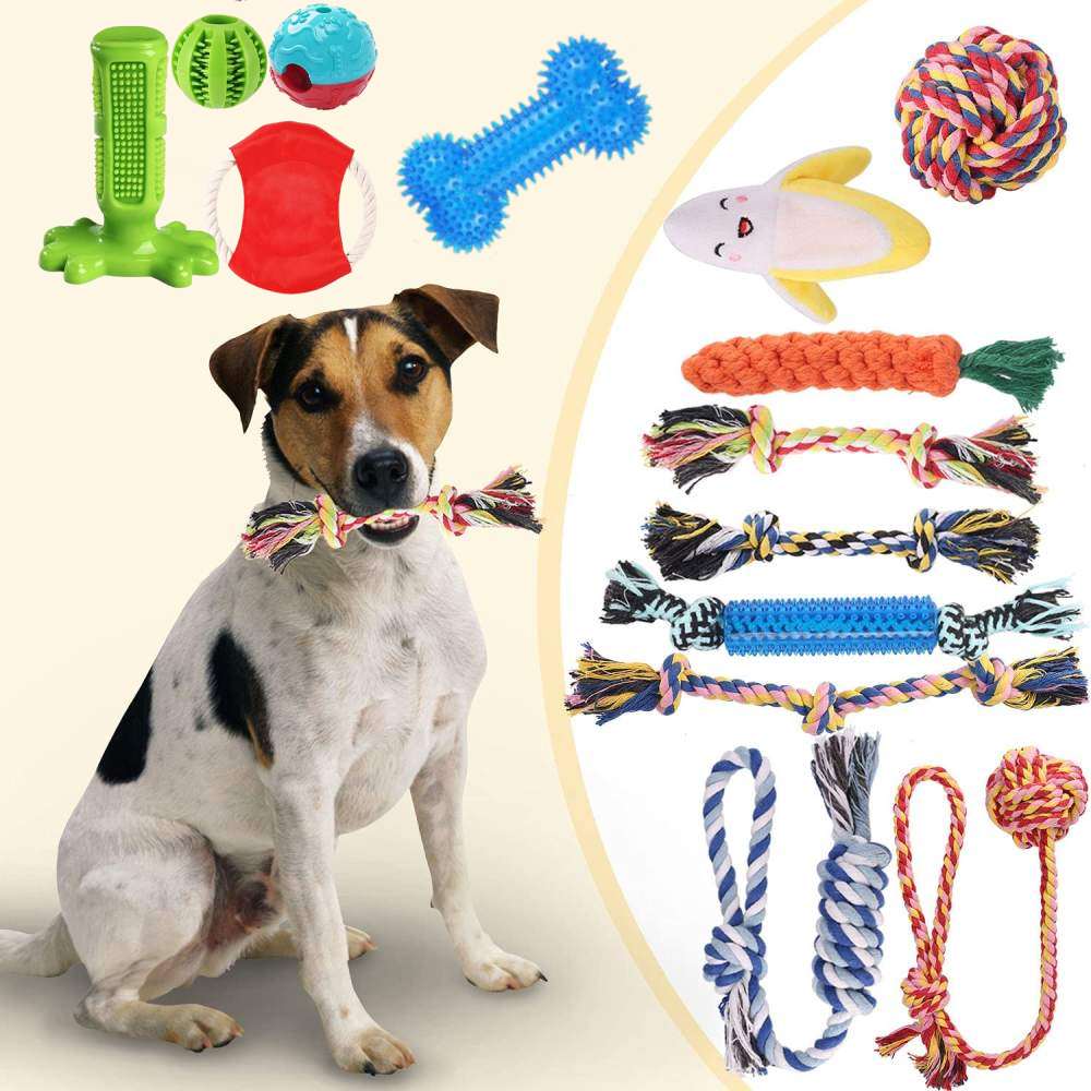 Puppy Dog Chew Toys: image 2