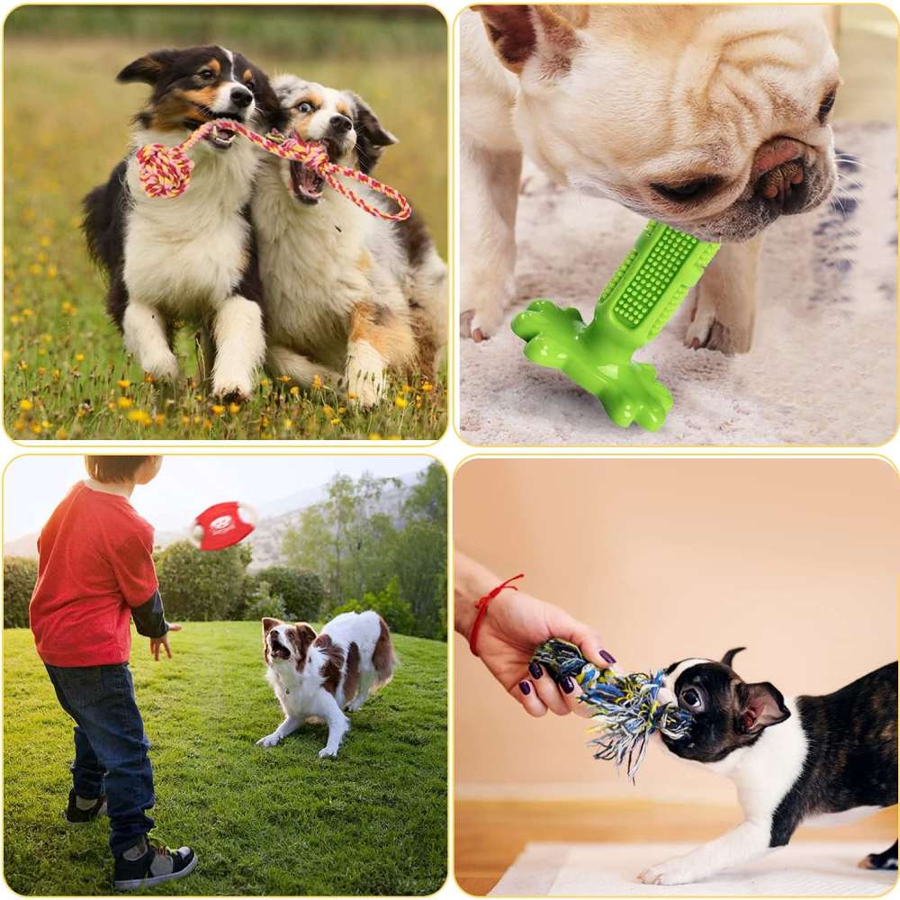 Puppy Dog Chew Toys: image 3