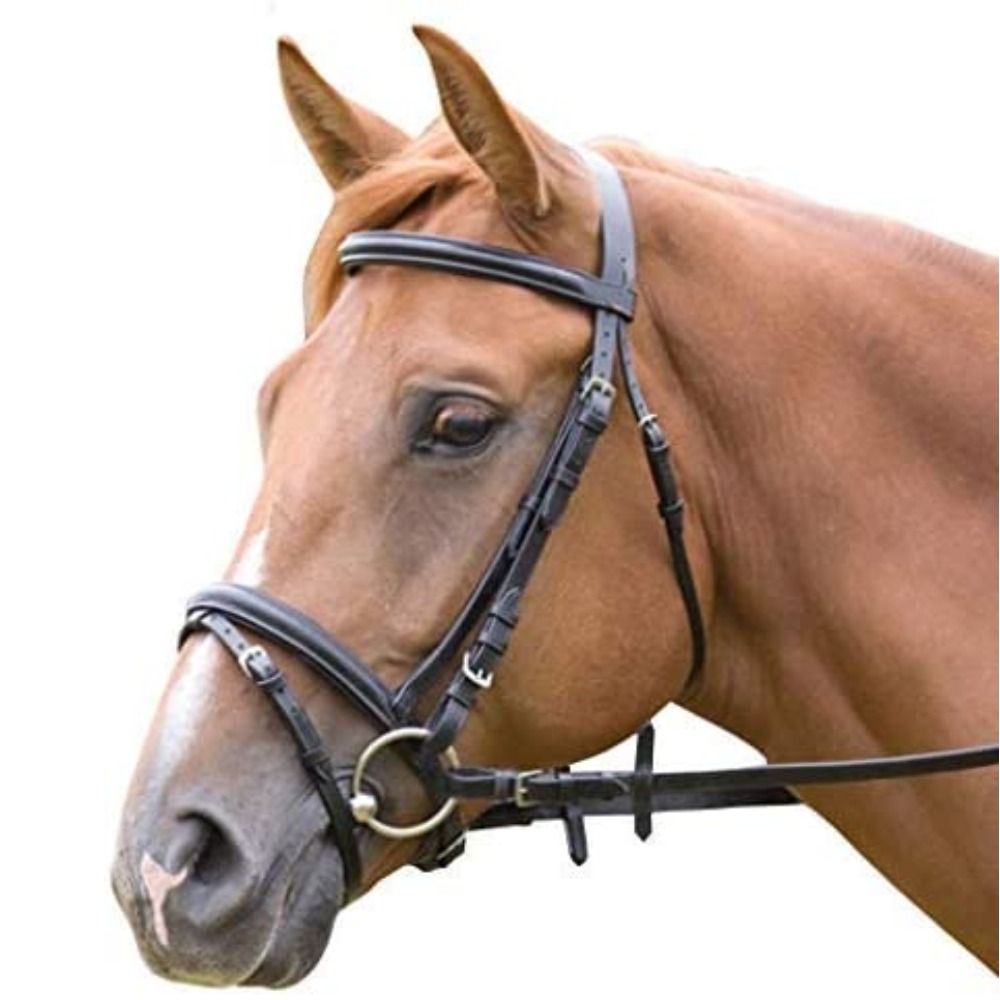 Comfort Headpiece Bridle: image 2