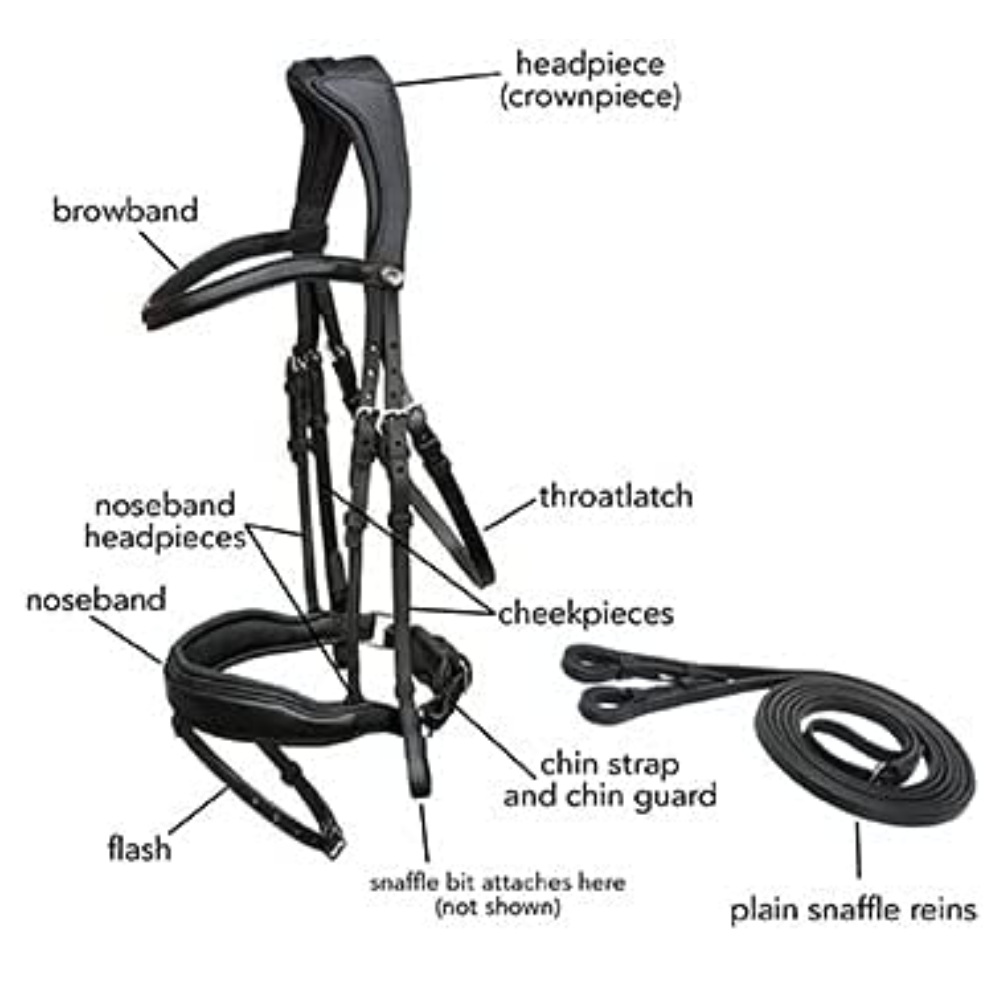 Comfort Headpiece Bridle: image 5
