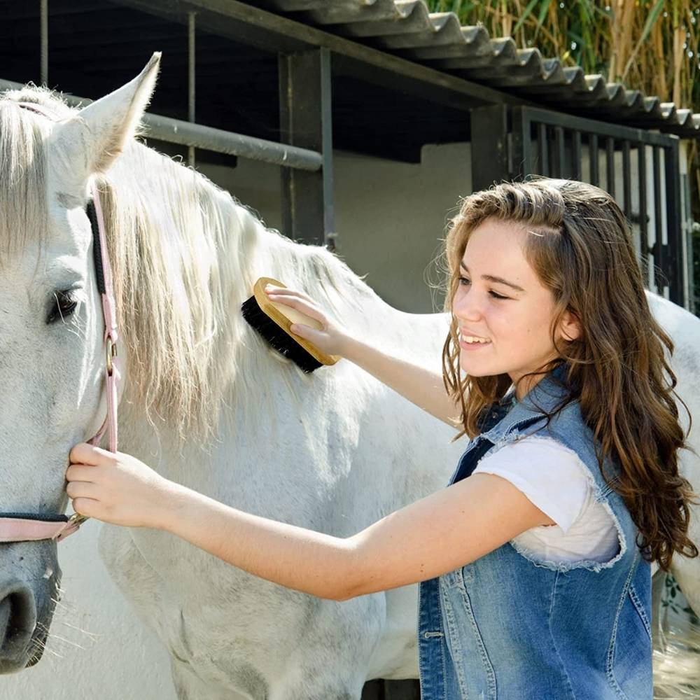 Horse Grooming Kit: image 3