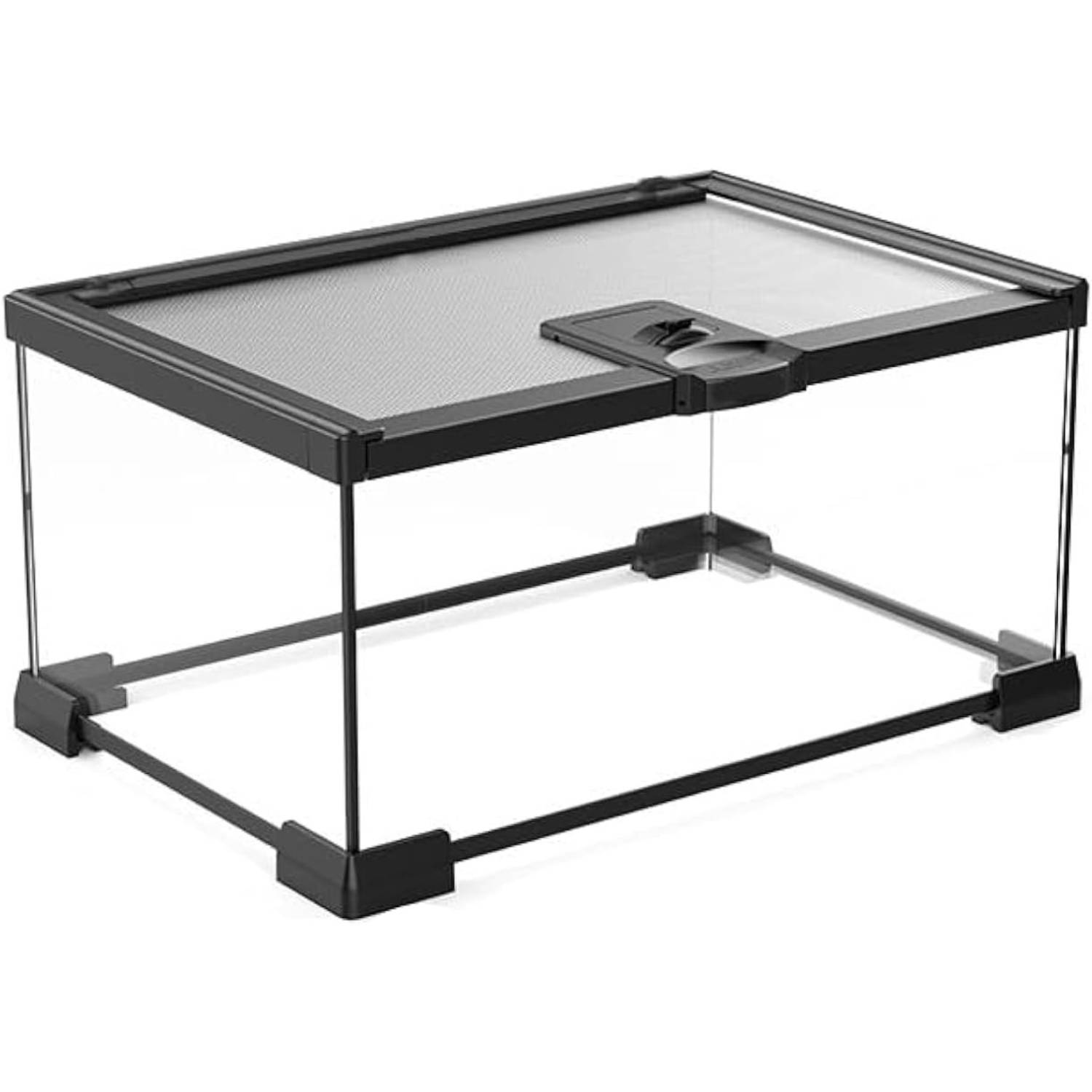 Mini Reptile Glass Terrarium Tank