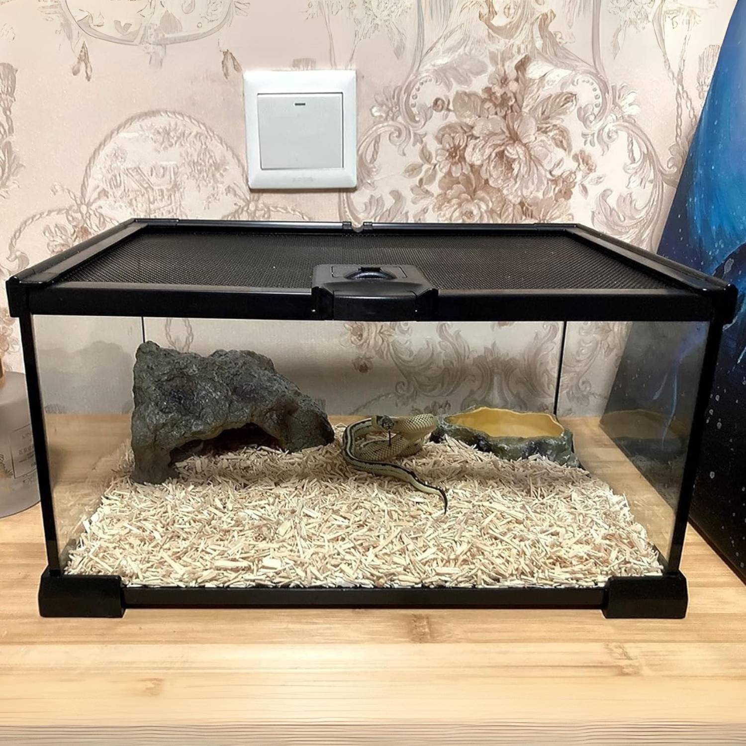 Mini Reptile Glass Terrarium Tank: image 5