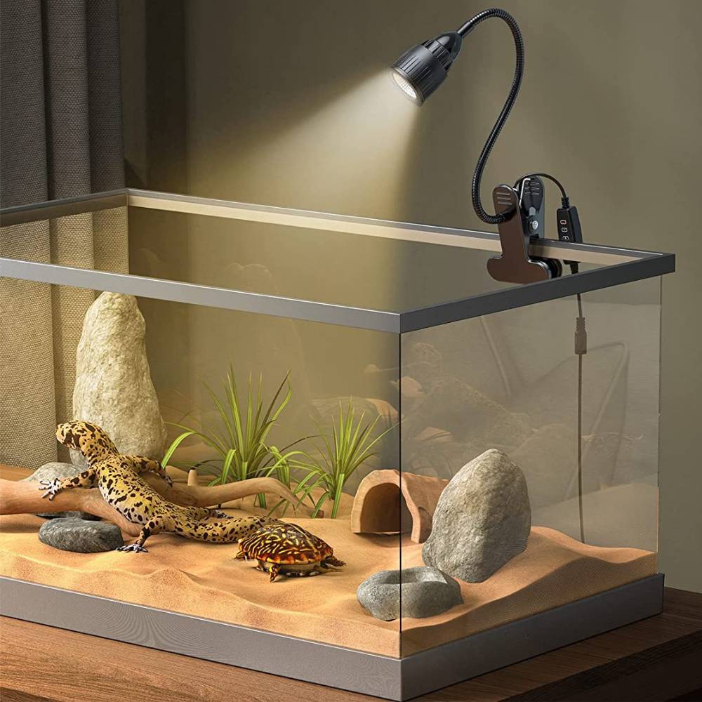 Reptile Heat Lamp