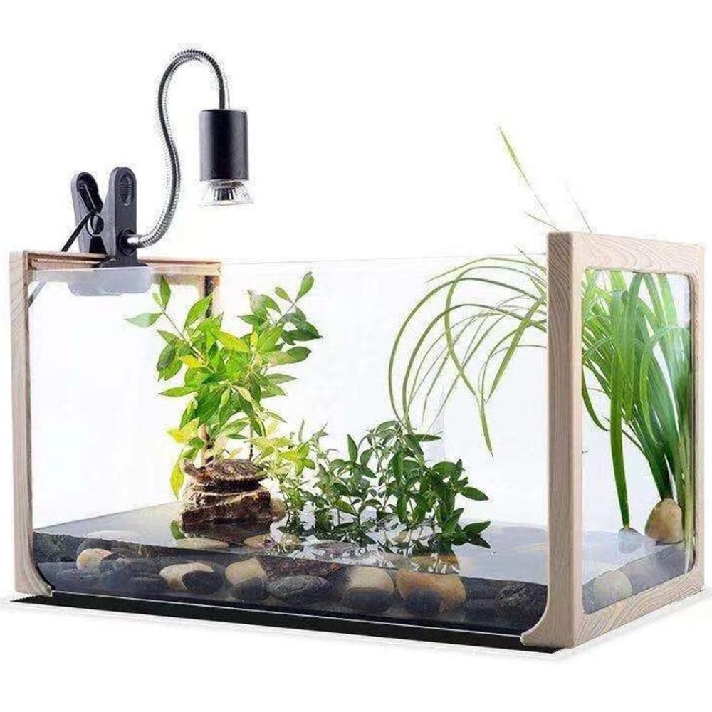 Reptile Heat Lamp: image 7