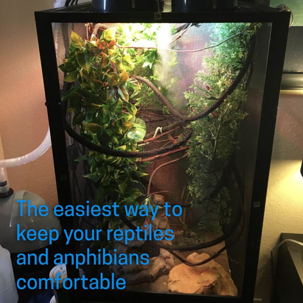 Reptile Humidifier: image 4