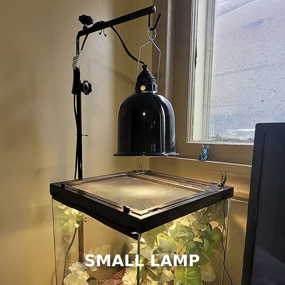 Reptile Lamp Stand: image 6