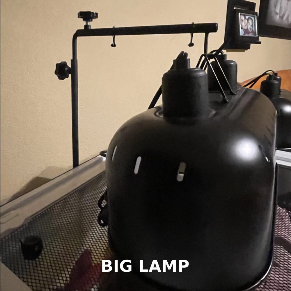 Reptile Lamp Stand: image 7
