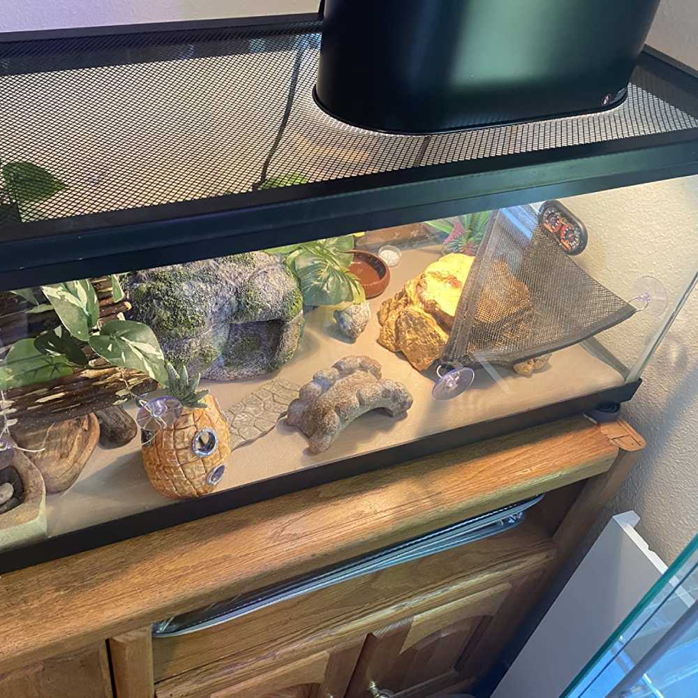 Reptile Light: image 4