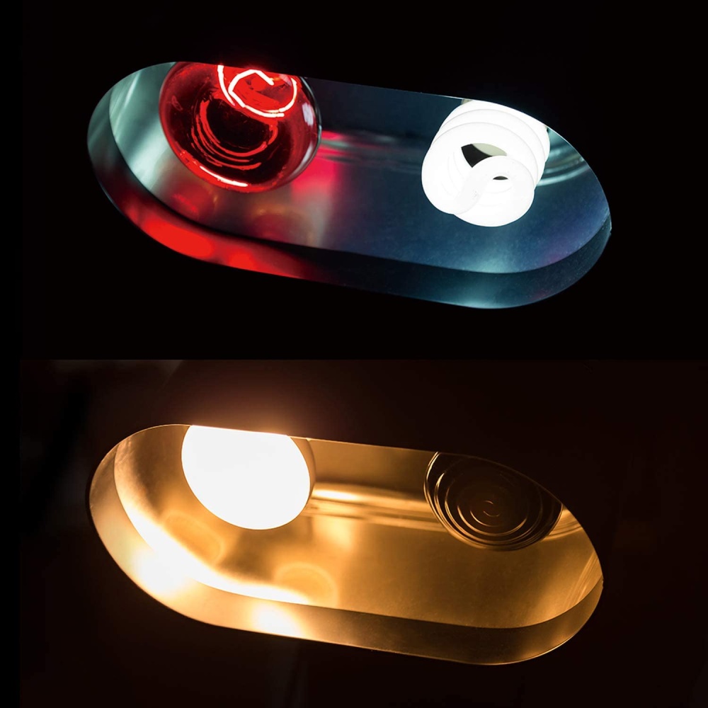 Reptile Light: image 6