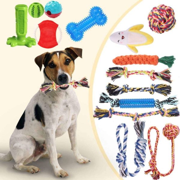 where to buy puppy dog chew toys sale online