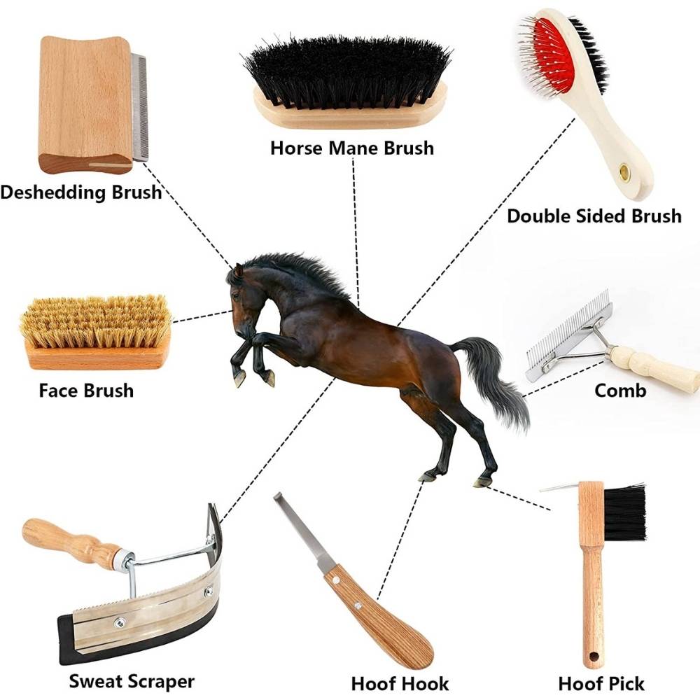 buy horse cleaning tool set
