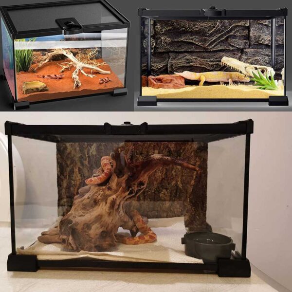 buy mini reptile glass terrarium tank sell online