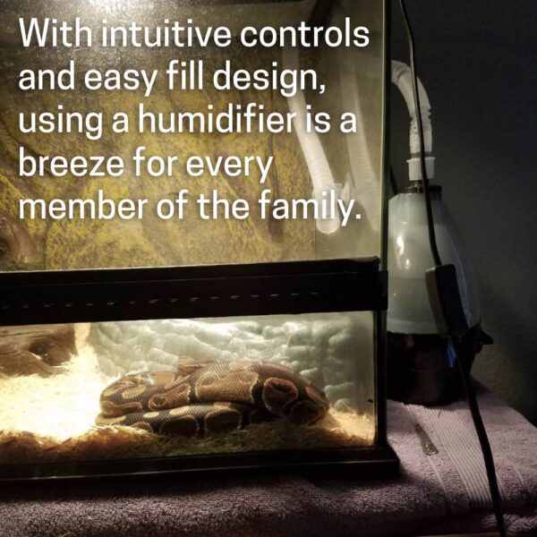 where to buy reptile humidifier online